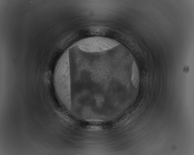 X0000101160649200807181400