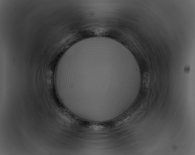 X0000101160650200807181400