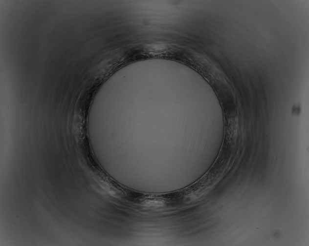 X0000101160653200807181400