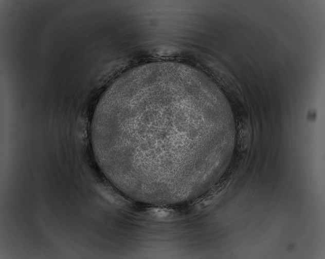 X0000101160654200807181400