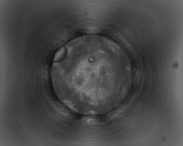 X0000101160655200807181400