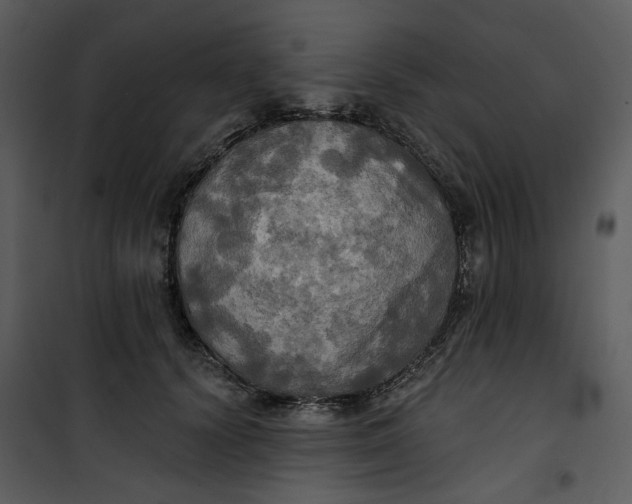 X0000101160656200807181400