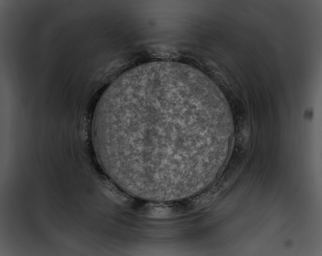 X0000101160658200807181400