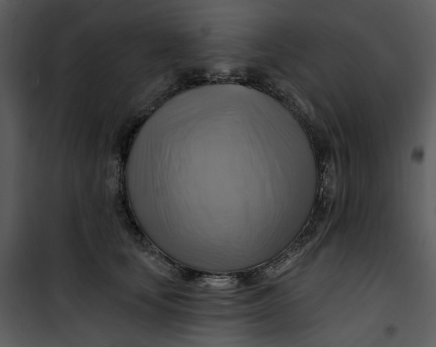 X0000101160659200807181400