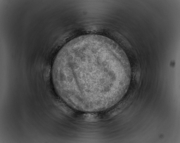 X0000101160660200807181400
