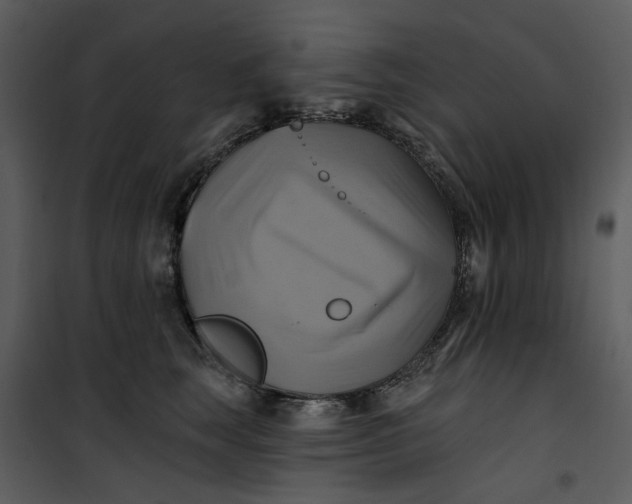 X0000101160663200807181400