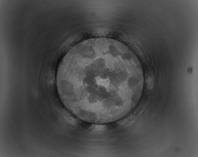 X0000101160665200807181400