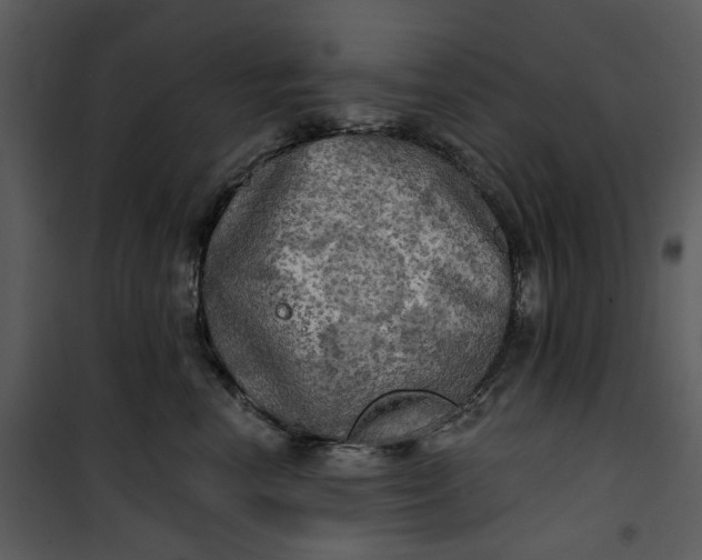 X0000101160666200807181400