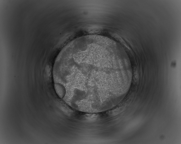 X0000101160667200807181400