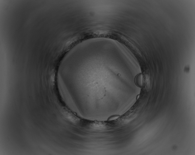 X0000101160668200807181400