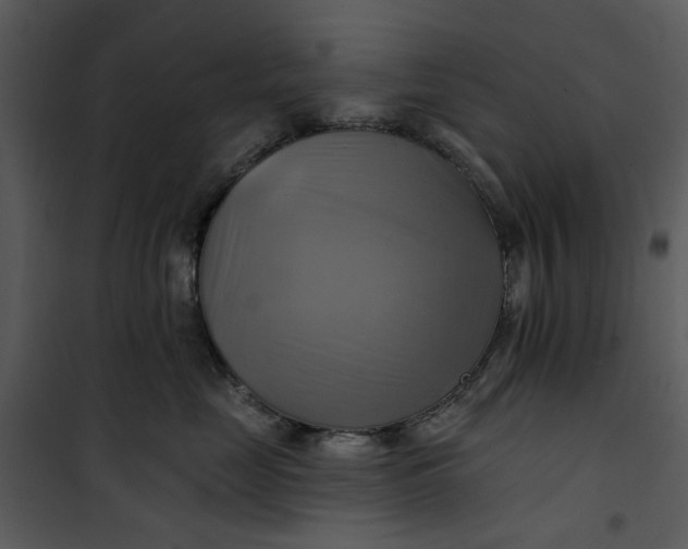 X0000101160669200807181400