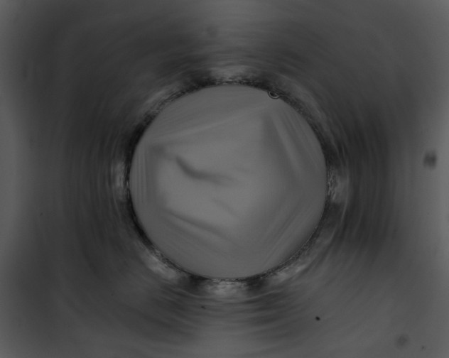 X0000101160670200807181400