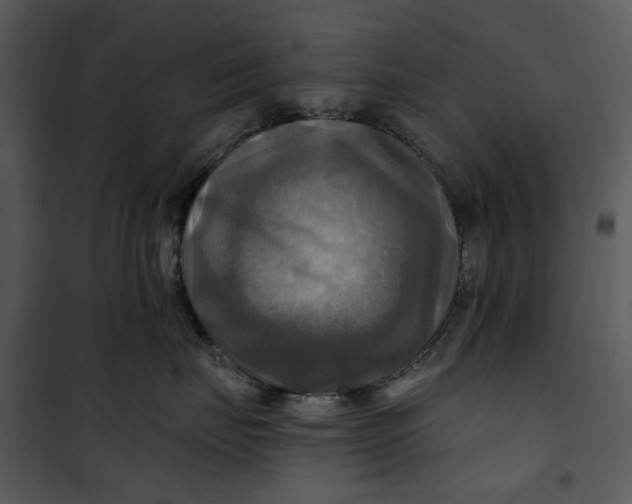X0000101160671200807181400