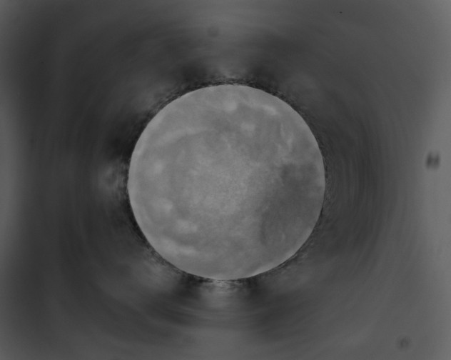 X0000101160672200807181400