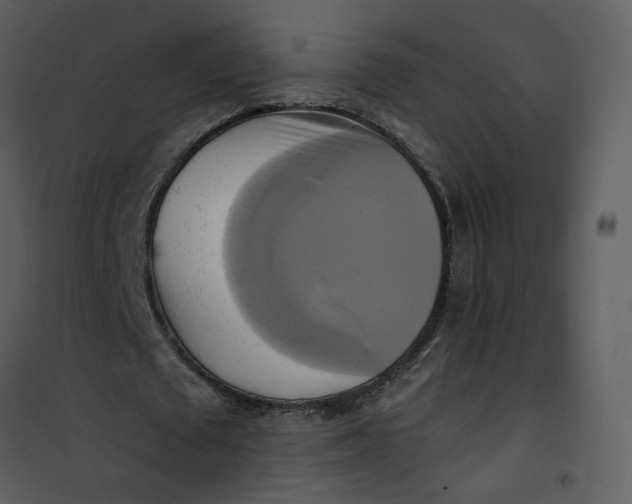 X0000101160673200807181359