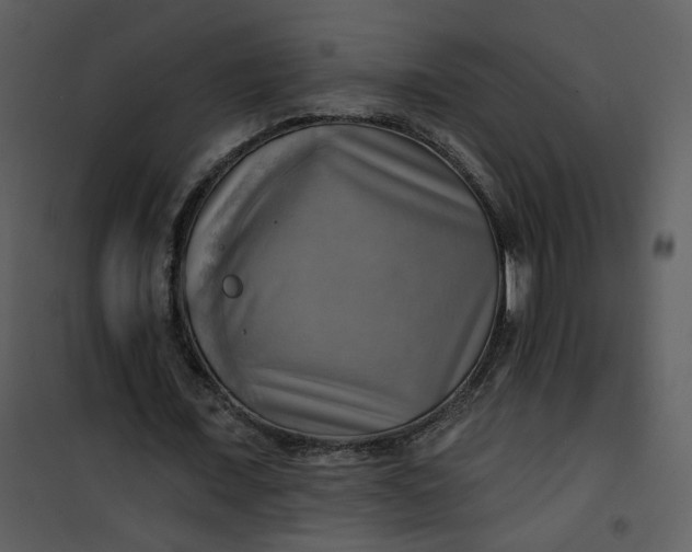 X0000101160675200807181359