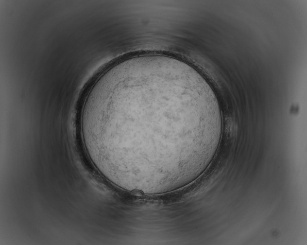 X0000101160676200807181359