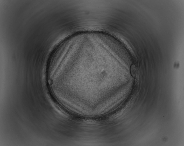 X0000101160677200807181359