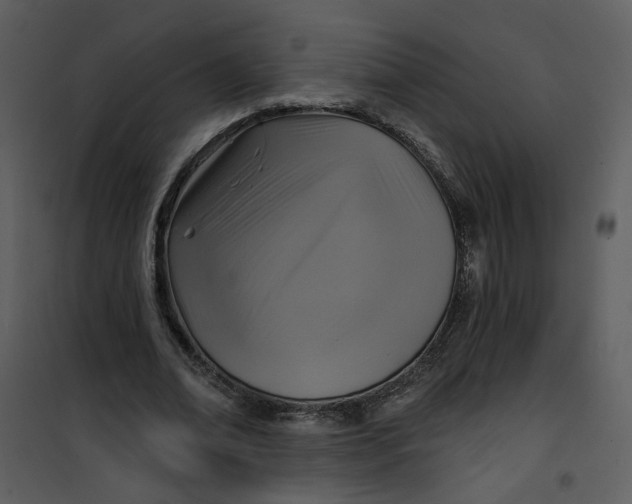 X0000101160678200807181359