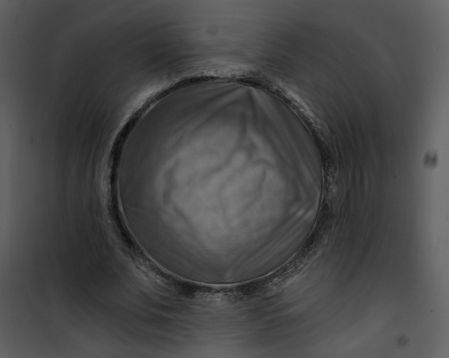 X0000101160679200807181359