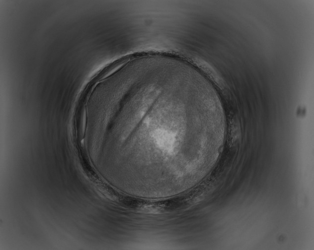 X0000101160680200807181359