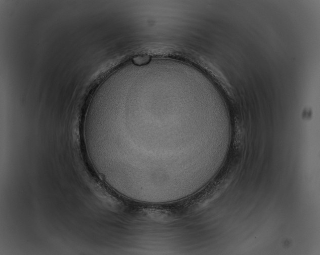 X0000101160681200807181359