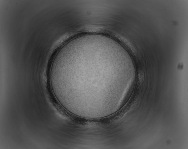 X0000101160682200807181359