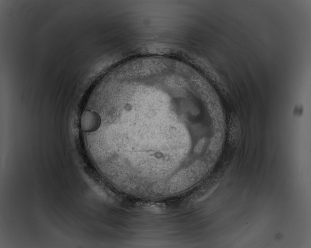 X0000101160683200807181359