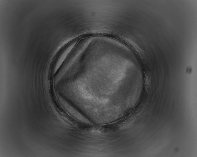 X0000101160684200807181359