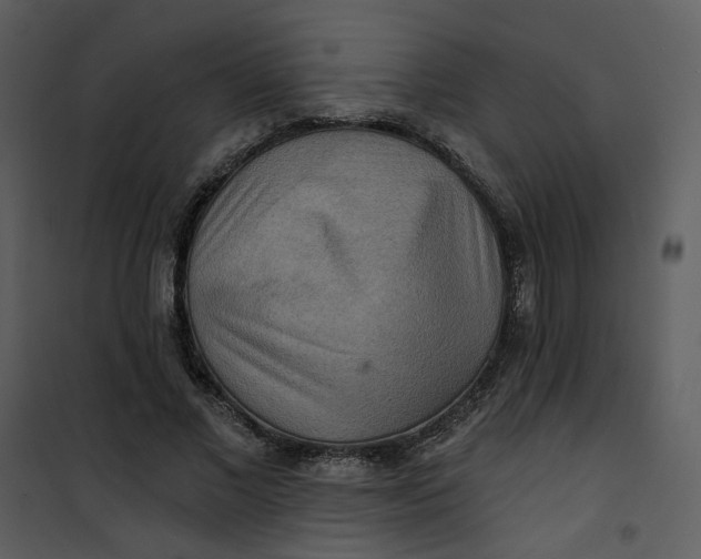 X0000101160685200807181359