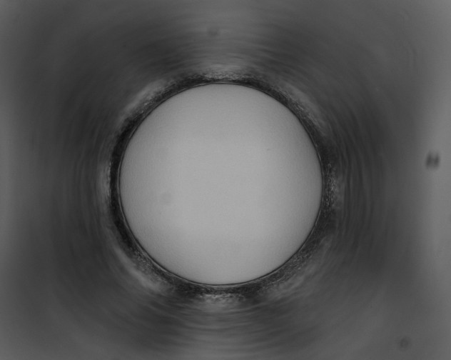 X0000101160686200807181359