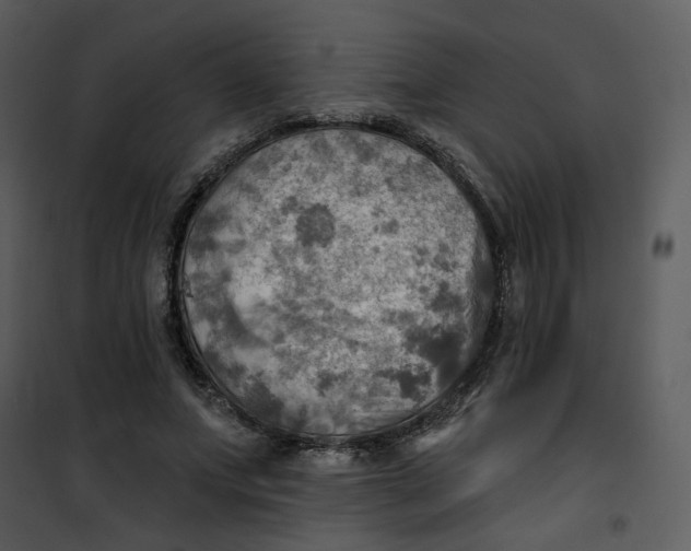 X0000101160687200807181359