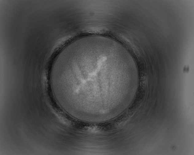 X0000101160688200807181359