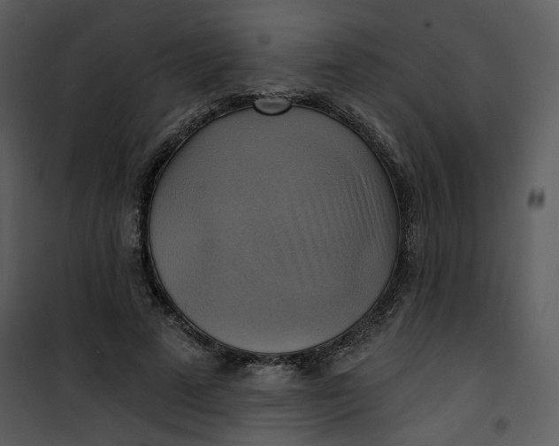 X0000101160689200807181359