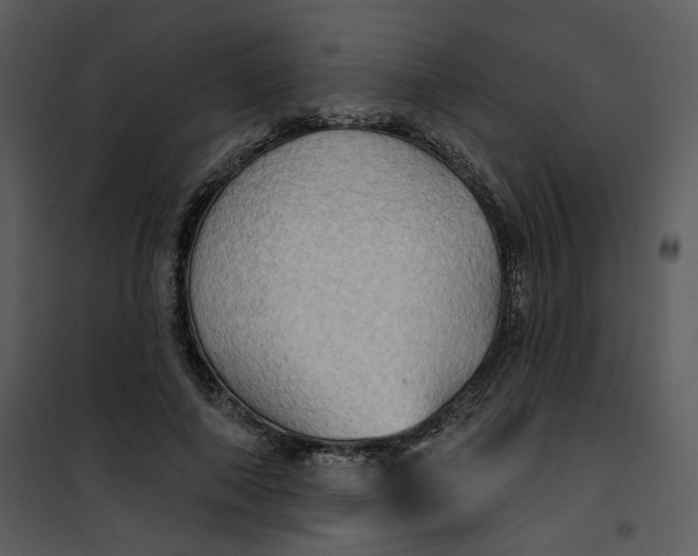 X0000101160690200807181359