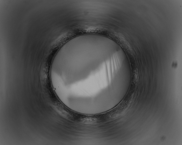 X0000101160691200807181359