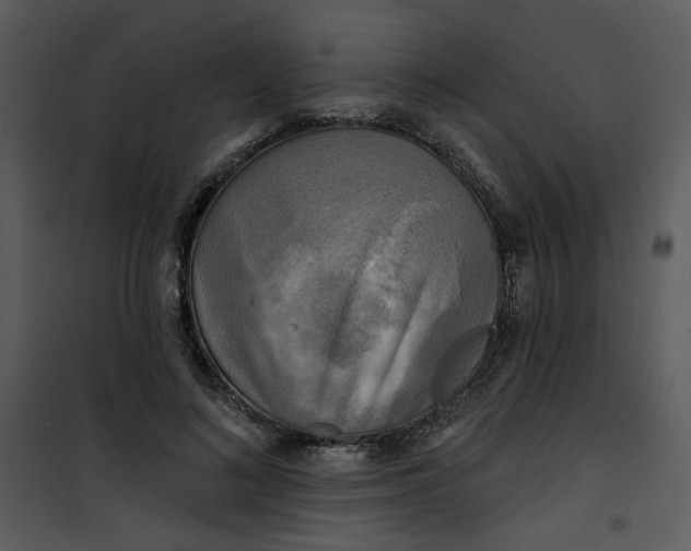 X0000101160692200807181359