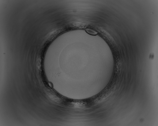 X0000101160693200807181359