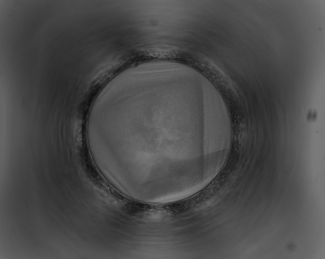 X0000101160696200807181359