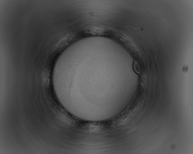 X0000101160697200807181359