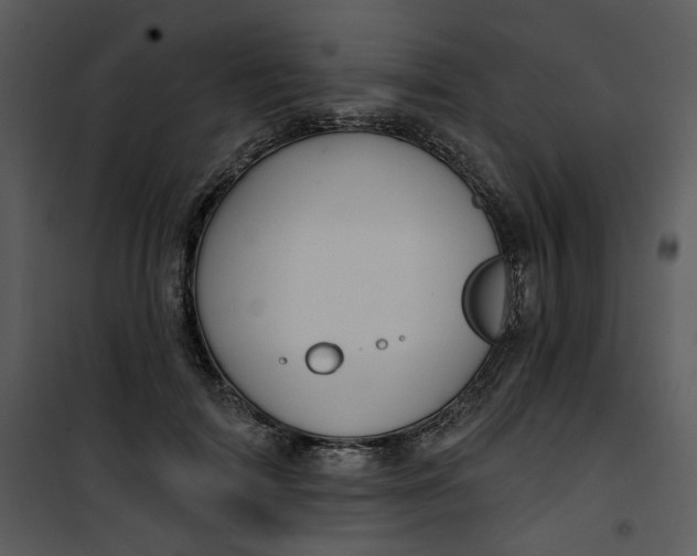 X0000101160698200807181359