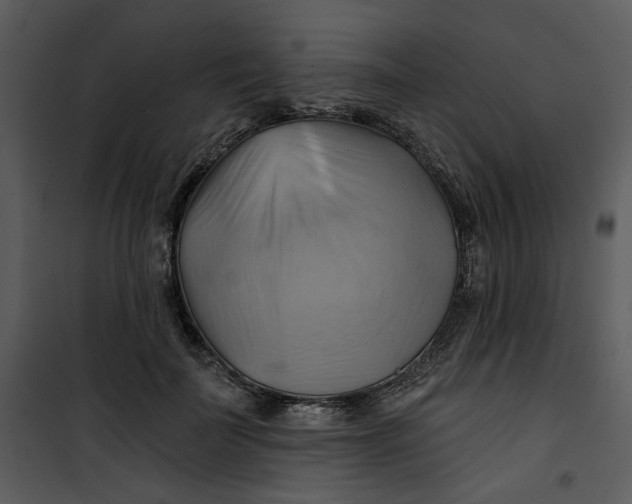 X0000101160699200807181359