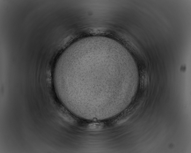 X0000101160700200807181359