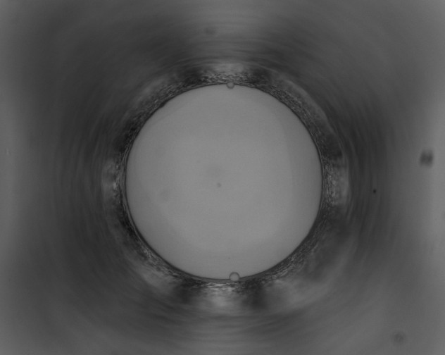 X0000101160701200807181359