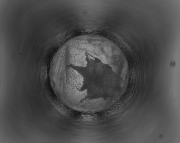 X0000101160703200807181359