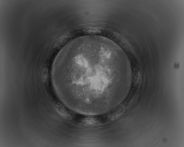 X0000101160704200807181359