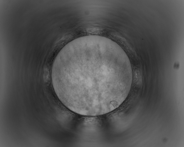 X0000101160705200807181359