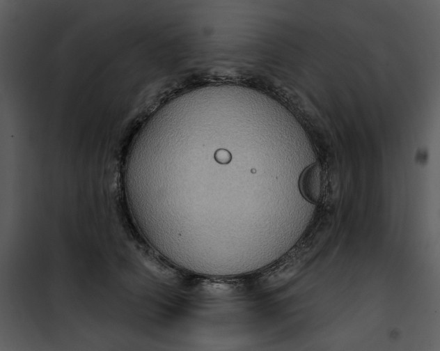 X0000101160706200807181359