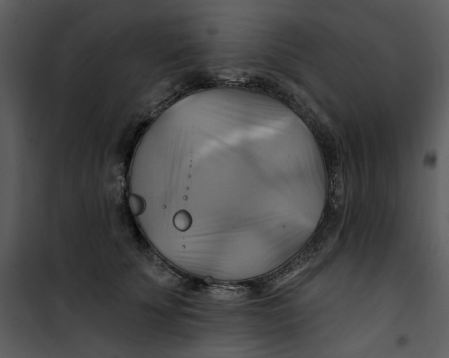 X0000101160707200807181359