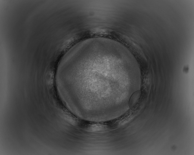 X0000101160708200807181359